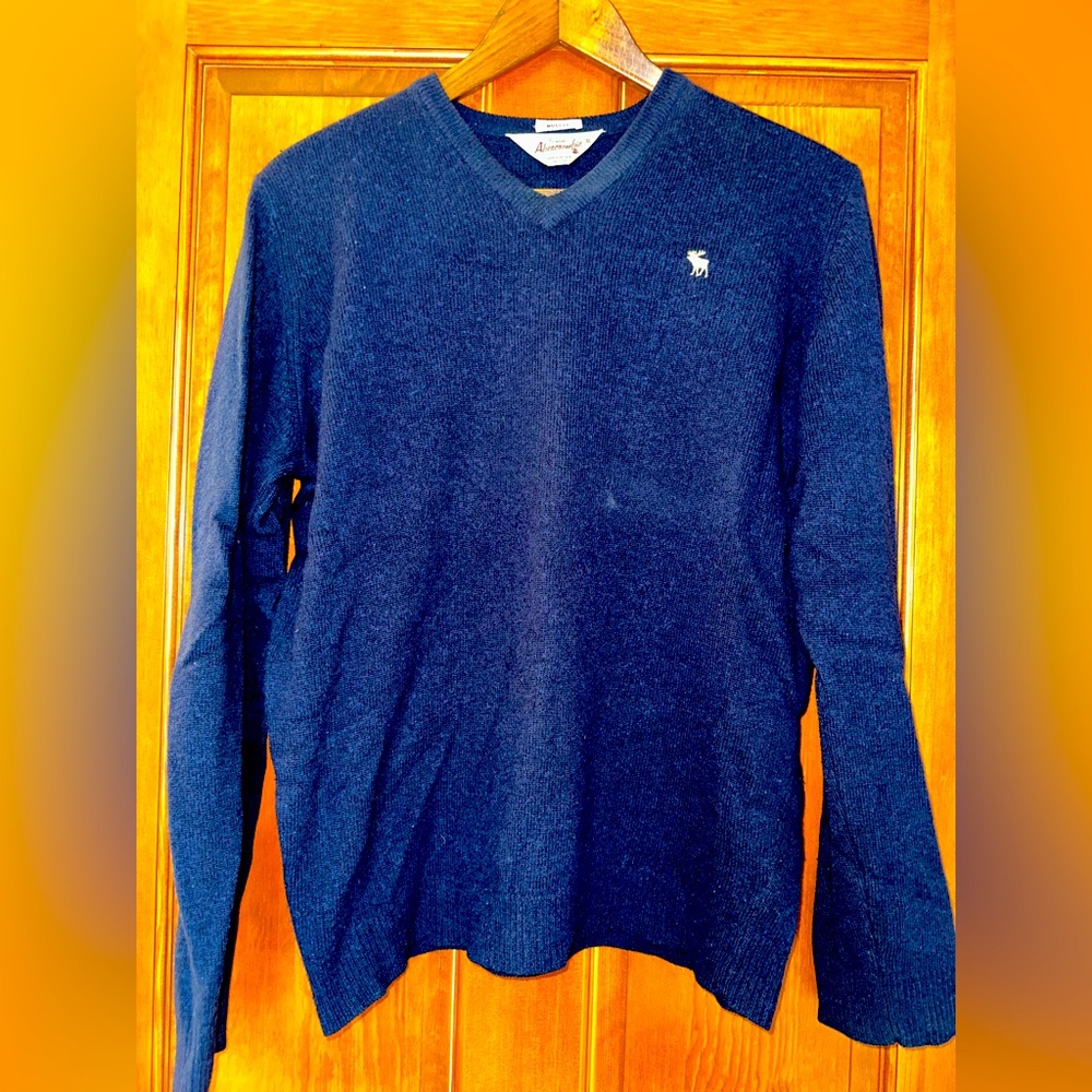 Abercrombie & Fitch Mens Muscle Sweater